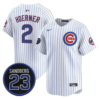 Men's Chicago Cubs 'Ryne Sandberg Tribute' Vapor Premier Limited Jersey V2 - All Stitched