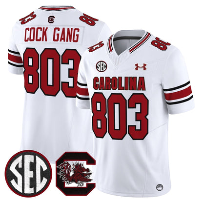 Men's South Carolina Gamecocks 2025 Vapor Limited Jersey - All Stitched