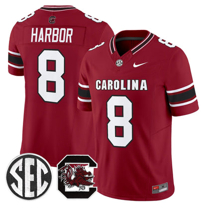 Men's South Carolina Gamecocks 2026 Vapor Limited Jersey V2 - All Stitched