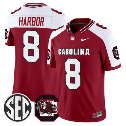 Men's South Carolina Gamecocks 2026 Vapor Limited Jersey V2 - All Stitched