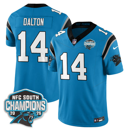 CAR NFC South Division Champions Vapor Limited Jersey - Stitched